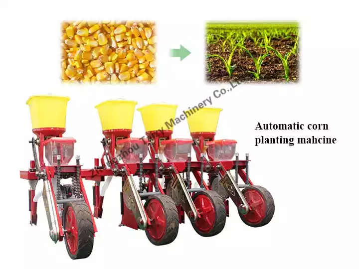 corn sowing machine