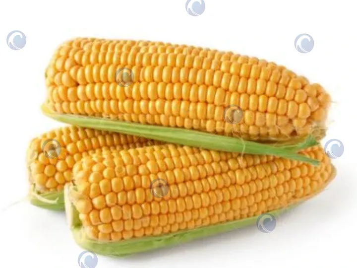 application of dry maize cutter