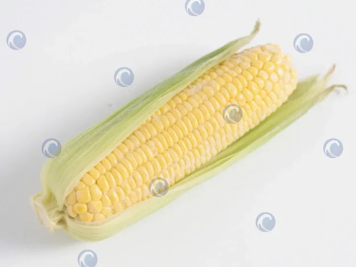 application of frozen corn cutting machine