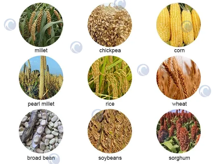 application of multifunctional maize thresher