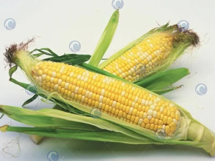 application of fresh corn cutter