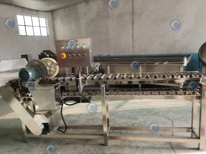 corn head and tail removing machine