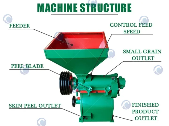 structure of maize peeler