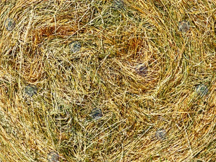 تطبيق ماكينة لف الذرة ولفافة