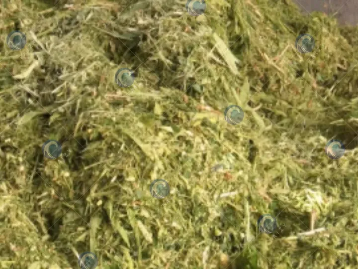 تطبيق آلة التشكيل والتغليف للعلف المخمر