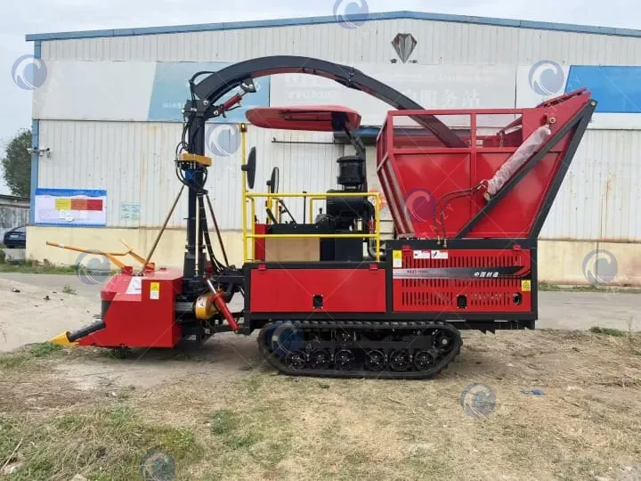 crawler-type corn silage harvester