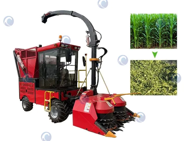 corn silage harvesting machine