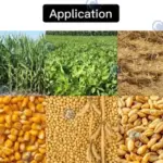 application of combined silage cutter and crusher machine