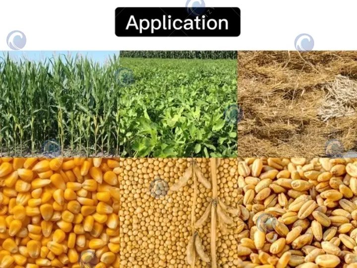 application of combined silage cutter and crusher machine