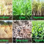 application of chaff shredder machine