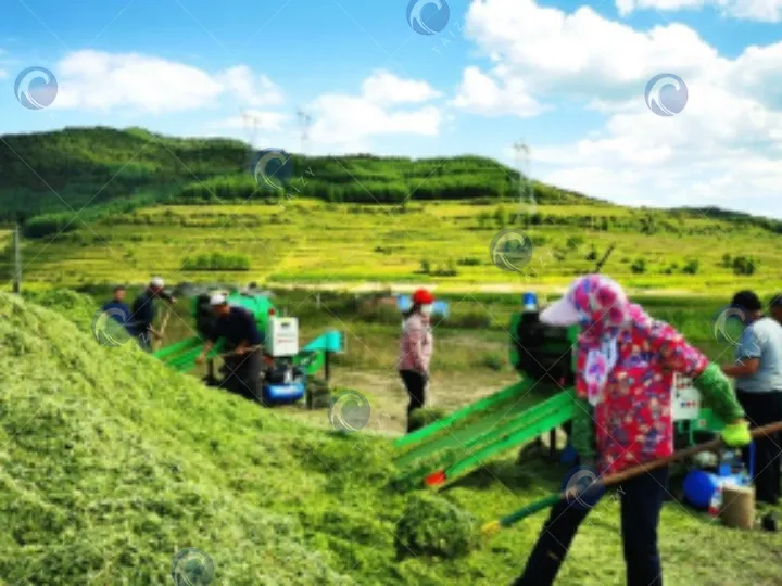 Application de la machine à faire des balles d'ensilage et d'enveloppement