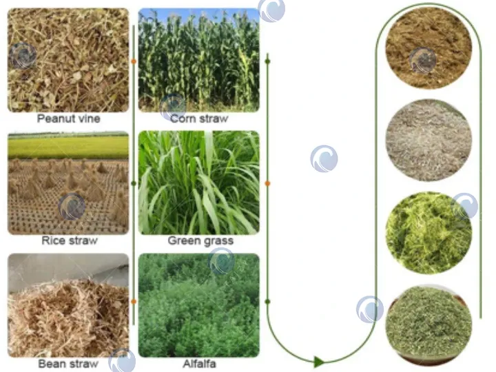 تطبيق آلة تقطيع العلف المخمر