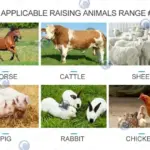 application of silage cutter and grinder