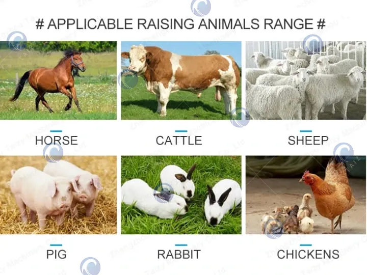 application of silage cutter and grinder