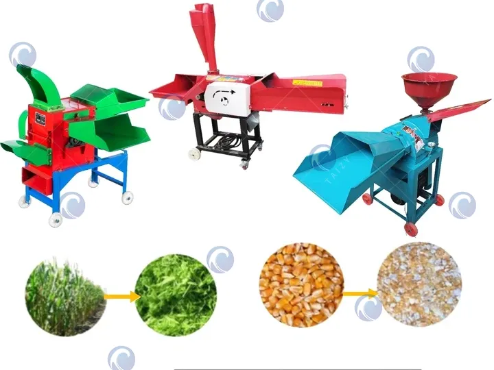 Combined chaff cutter and grain grinder