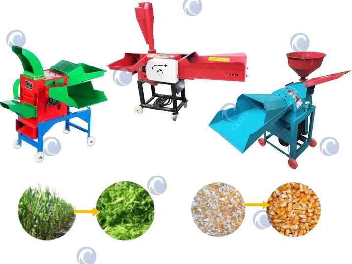 Combined chaff cutter and grain grinder