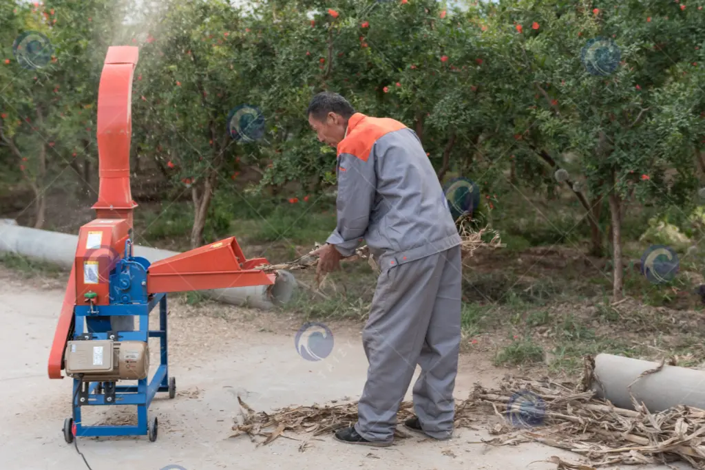 chaff cutting machine