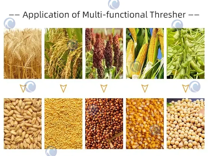 การใช้งานของเครื่องขัดเปลือกข้าวโพดหลากฟังก์ชัน