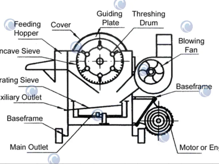 โครงสร้างของเครื่องขัดเปลือก maize หลายฟังก์ชัน