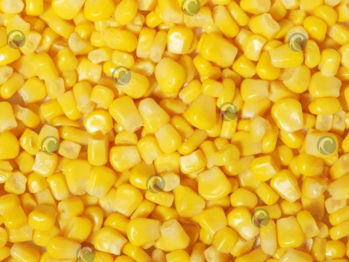 fresh corn kernels