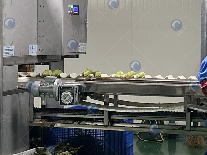 玉米壳斗机的详细信息