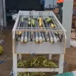 máquina de despolpar milho de rolo de borracha