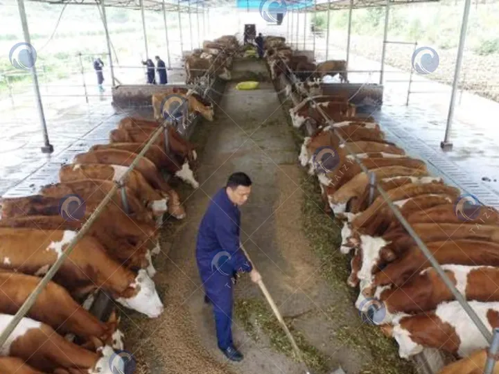 application scenario of silage spreader