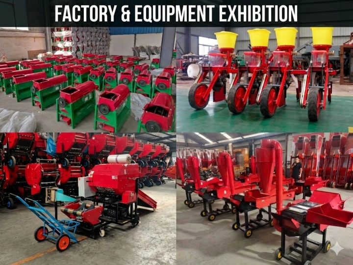 Taizy factory and machines